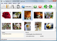 foto web photo album Internet Explorer Javascript Popup Window