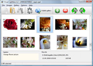 best freeware photo album builder Javascript Notification Popup